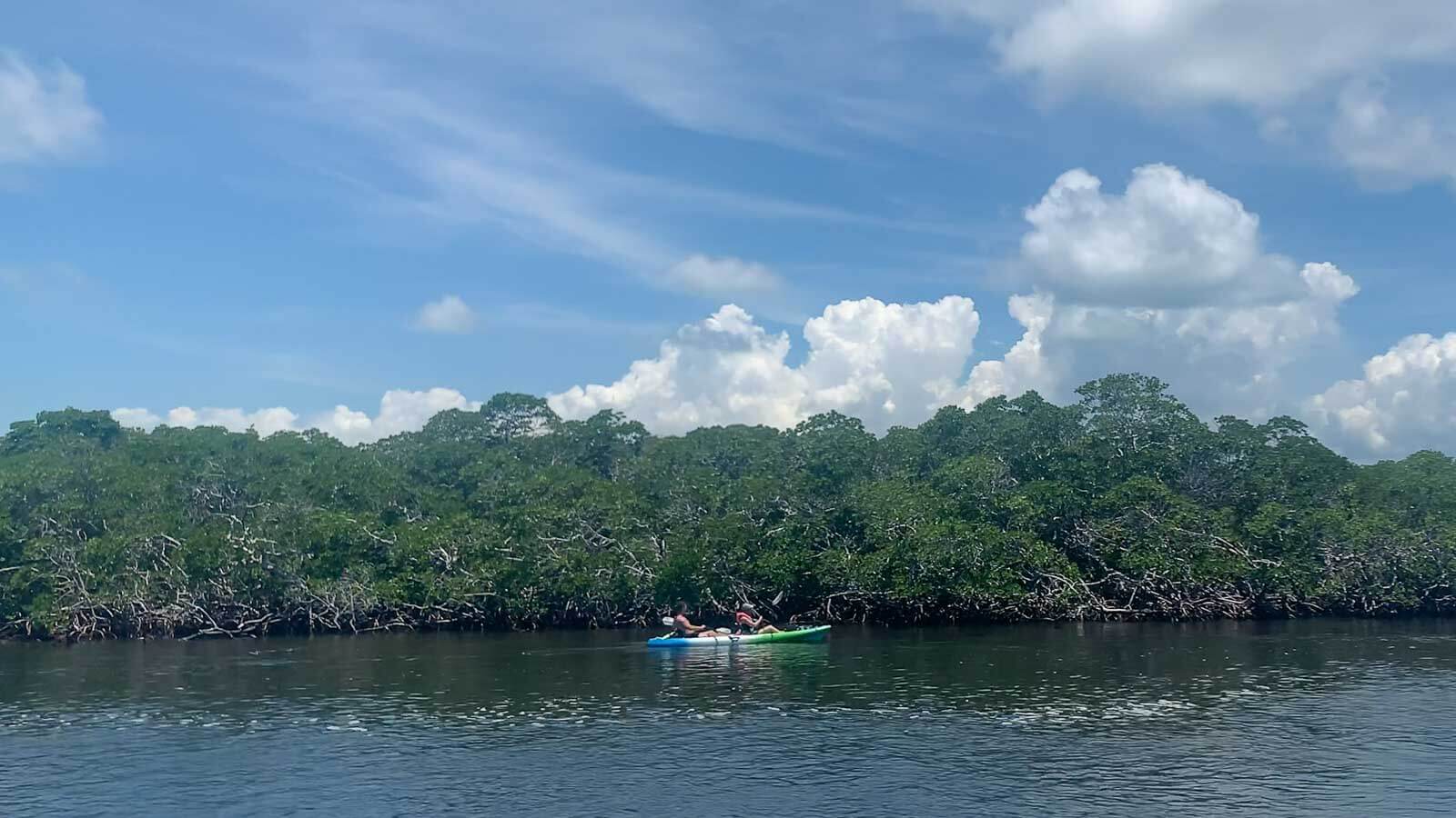 Kayaking at John Pennekamp State Park