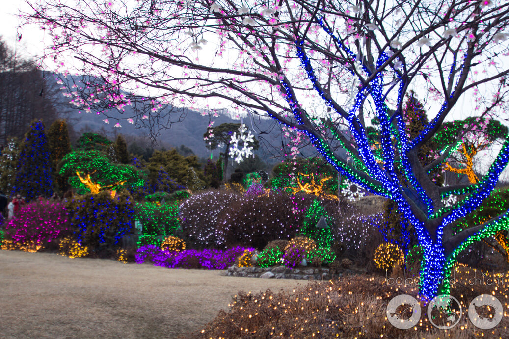 Cheongpyeong Lighting Festival Seoul Tree