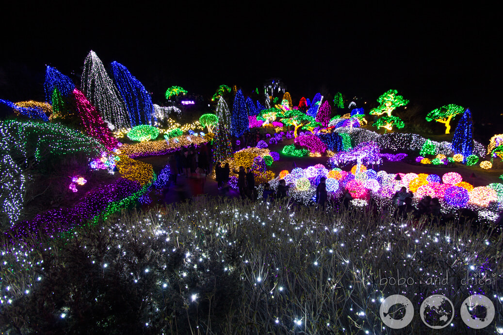 Cheongpyeong Lighting Festival Seoul Overview at night