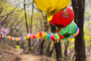 Lanterns Leading the Way