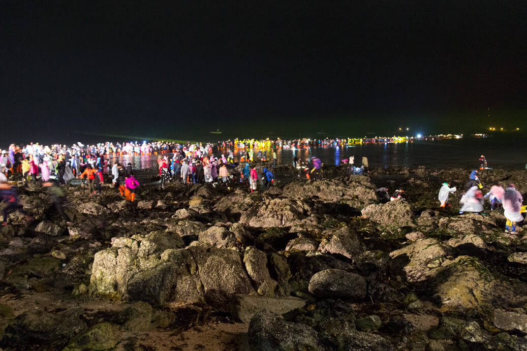 Jindo Miracle Sea Festival