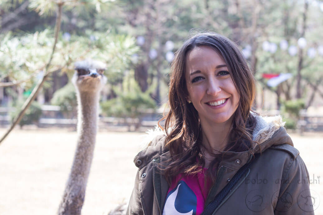 Nami Island Ostrich Photobomb