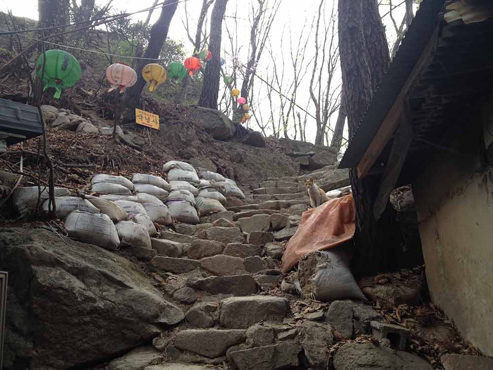 Road to the Golden Buddha at Bukhansan