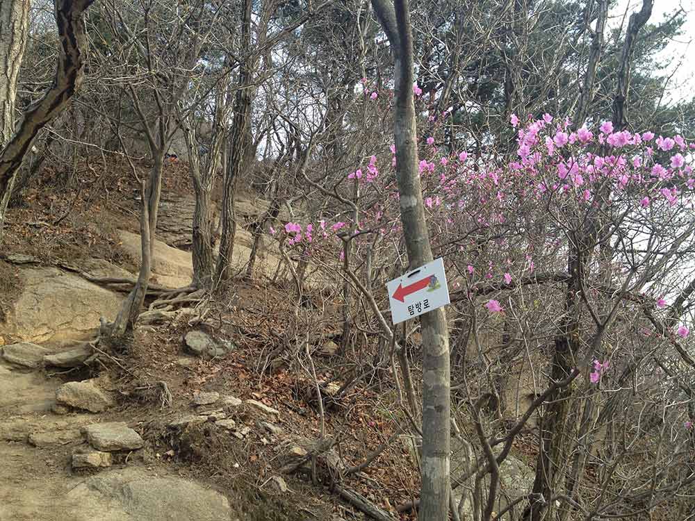 Road to the Golden Buddha at Bukhansan