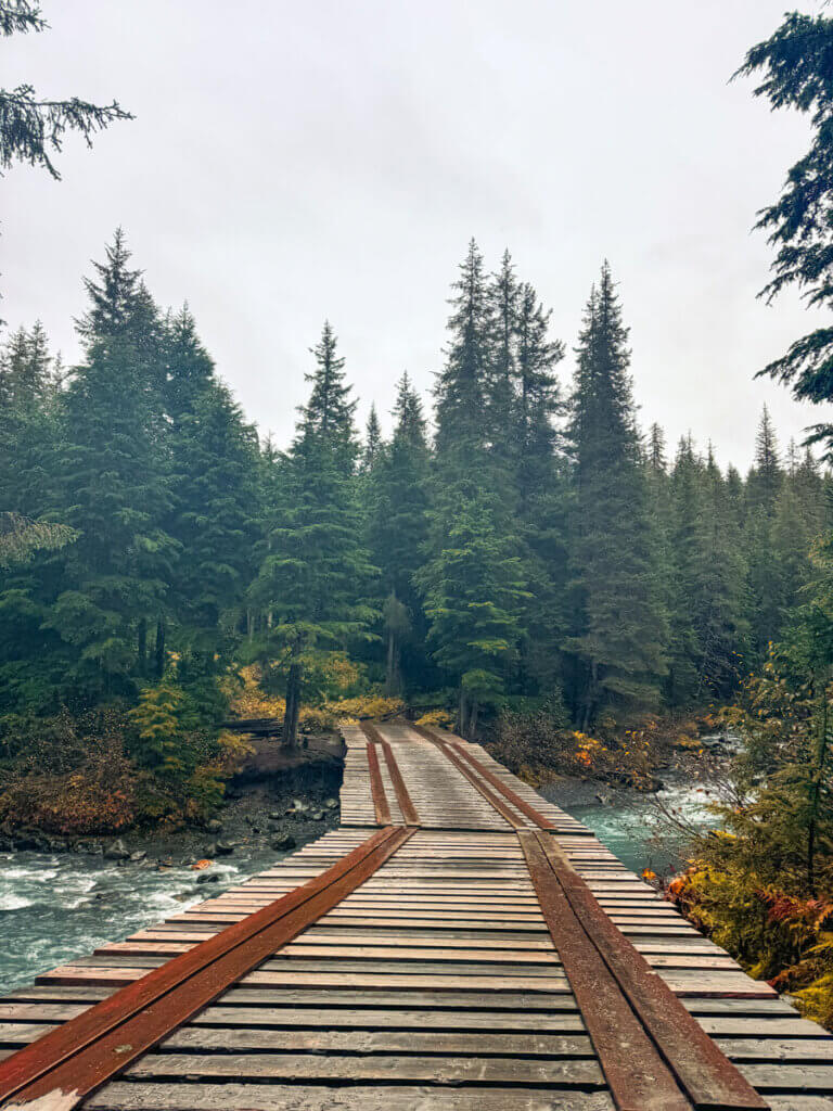 the-bridge-on-Winner-Creek-on-the-Winner-Creek-Trail-from-Alyeska-Resrot-in-Chugach-National-Forest