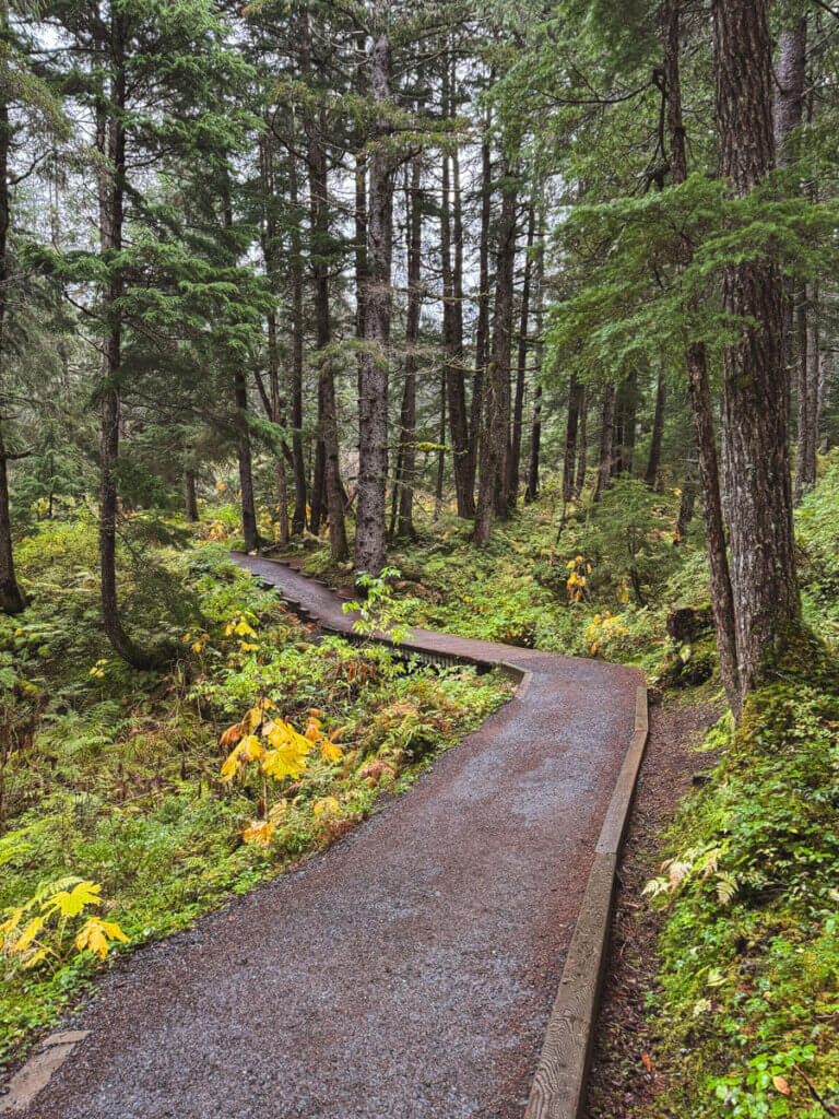 walking-through-the-rainforest-on-the-Winner-Creek-Trail-in-Chugach-National-Forest-in-Girdwood-Alaska