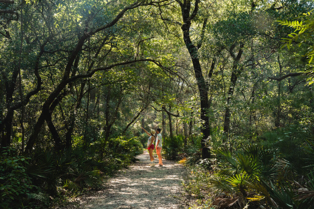Jeff Friend Trail in Bon Secour National Wildlife Refuge in Alabama
