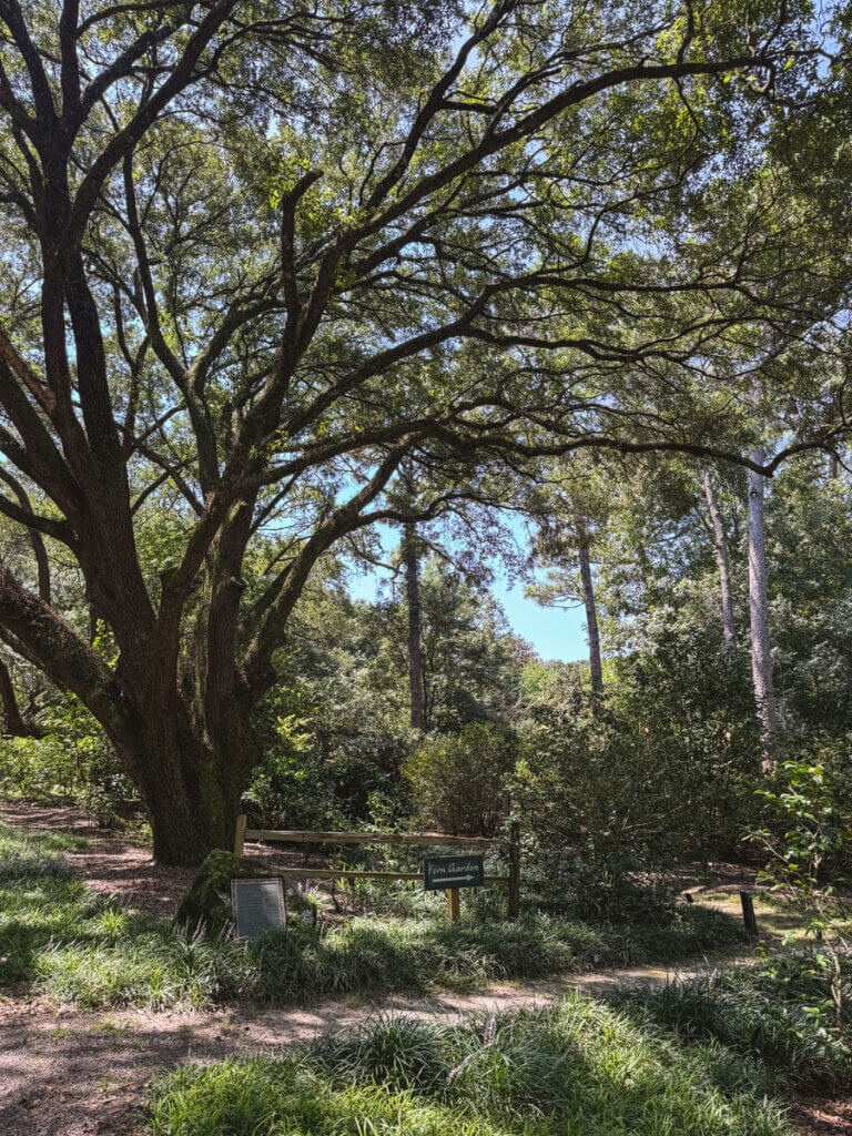trail-to-the-fern-path-at-Mobile-Botanical-Gardens-in-Alabama