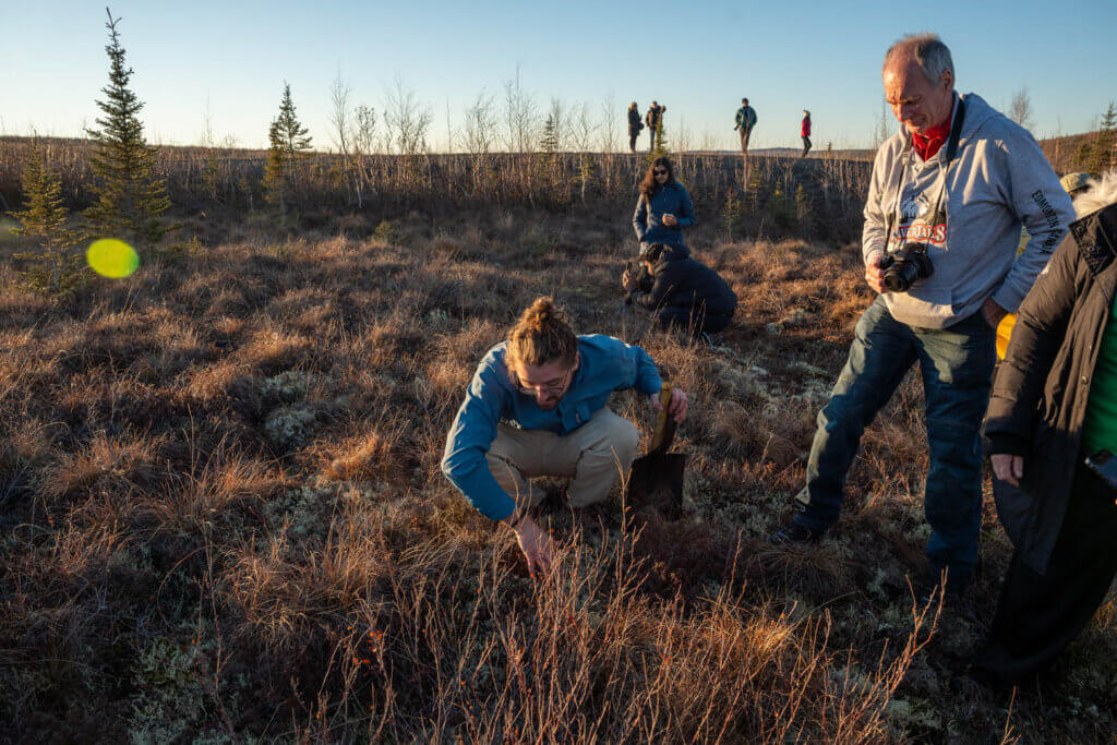 Will our tour guide showing us an alpine tundra just south of the Arctic Circle in Alaska along the Dalton Highway