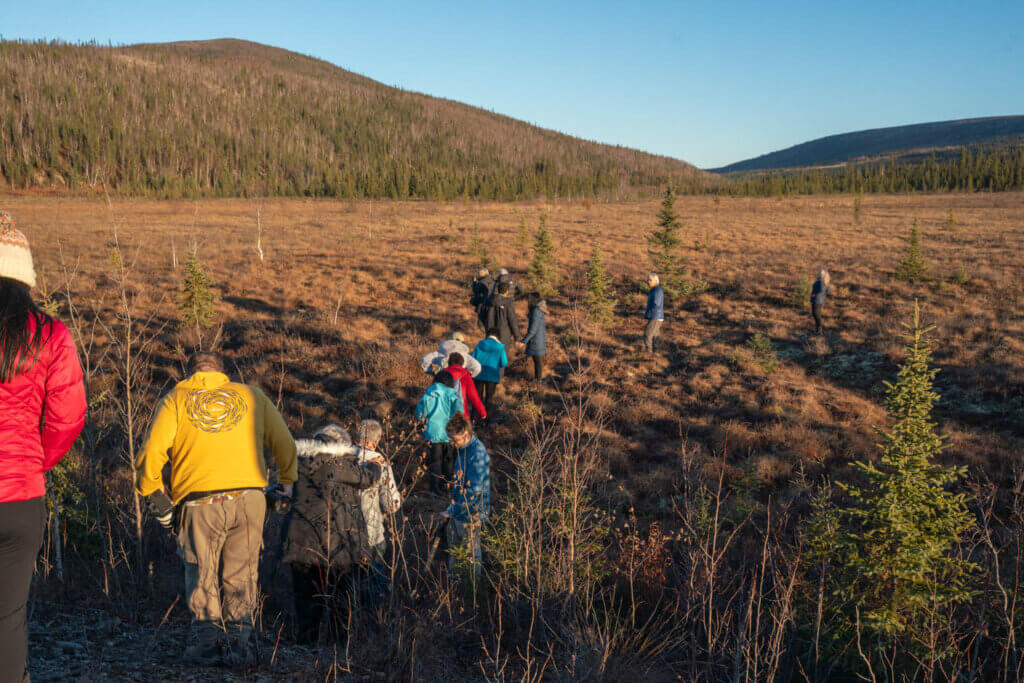 our tour making our way down to the alpine tundra on our dalton highway tour just south of the arctic circle in alaska