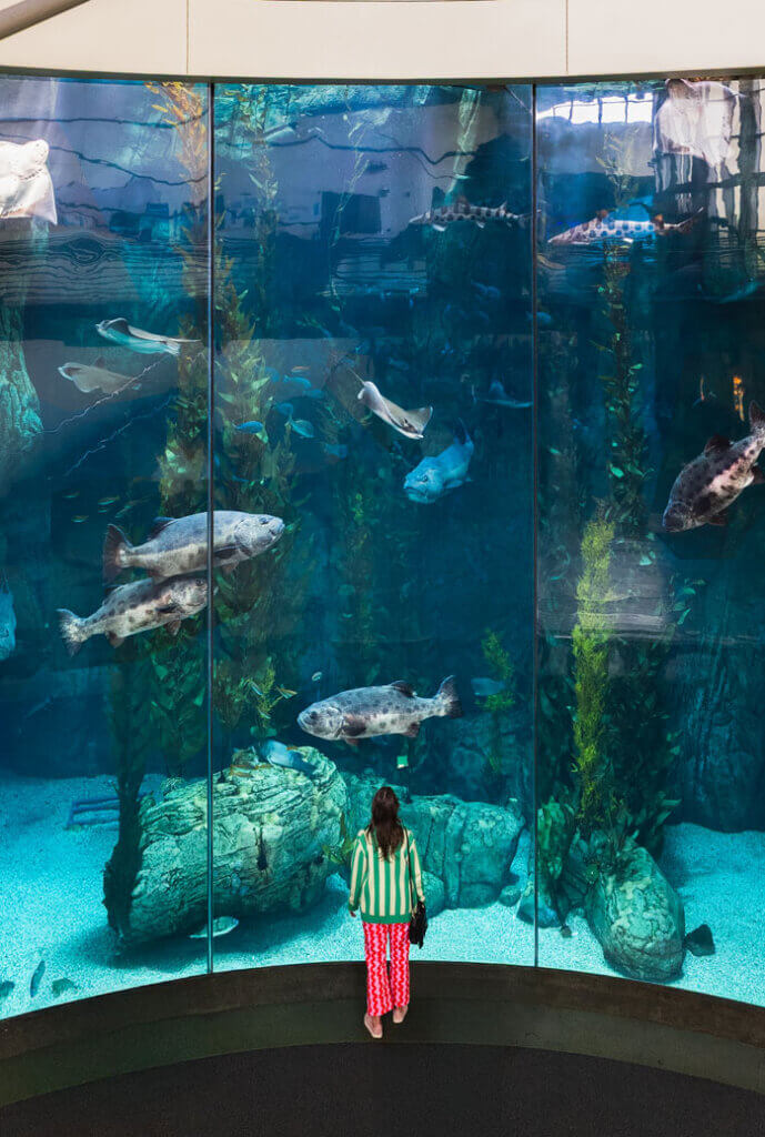 The Blue Cavern at the Aquarium of the Pacific in Long Beach