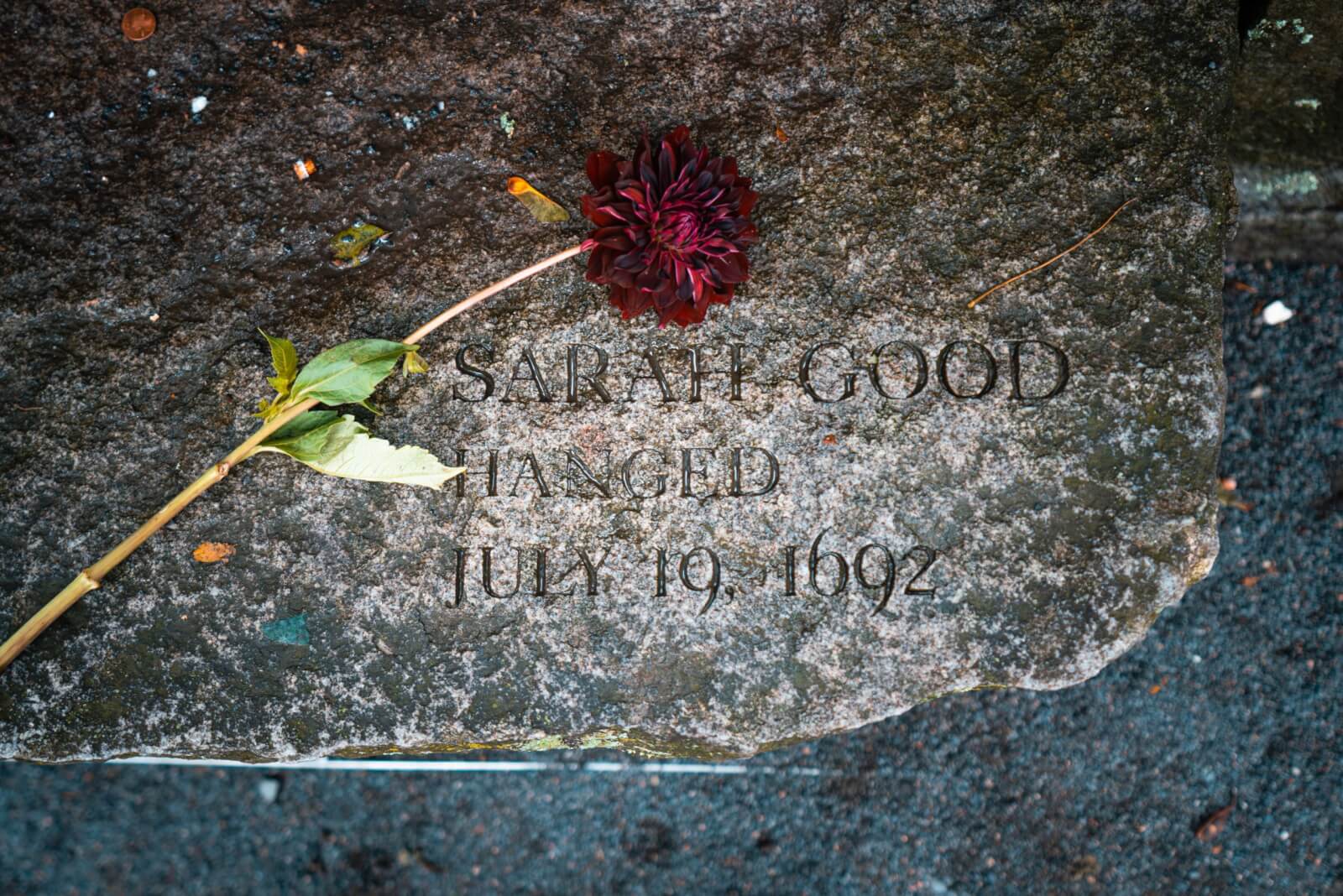 A rose for Sarah Good at the Salem Witch Memorial