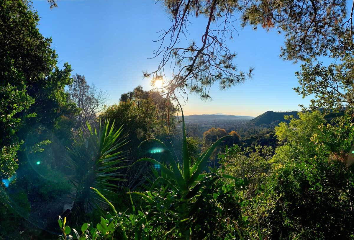 Amirs-Garden-Trail-in-Griffith-Park-Los-Angeles-California