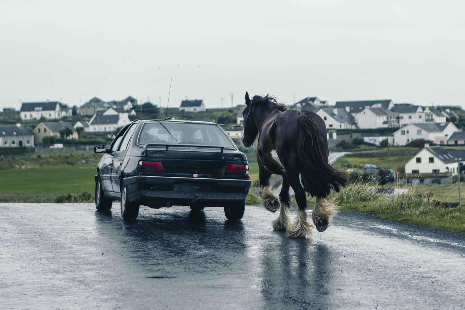 A horse getting a lift home on Inisheer Ireland