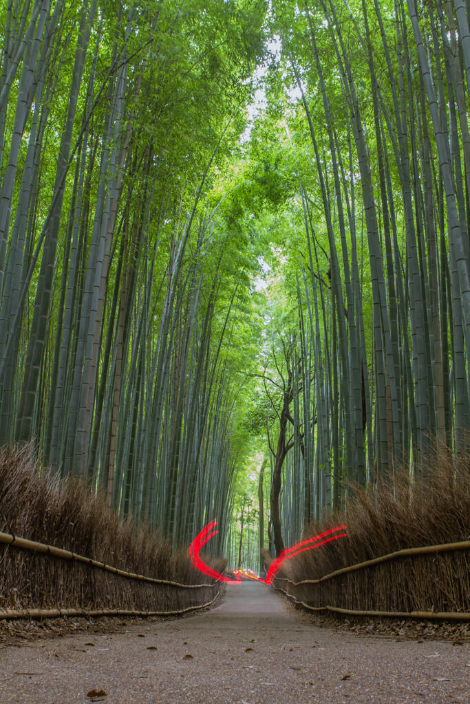 Car Driving through Arashiyama Bamboo Forest