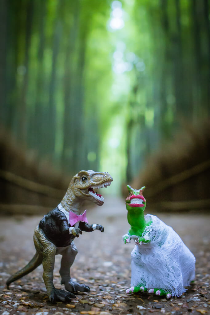 Dinosaurs pose at Arashiyama Bamboo Forest