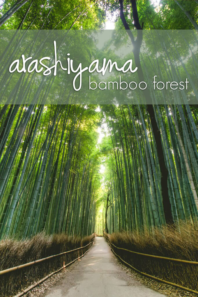 Arashiyama Bamboo Forest