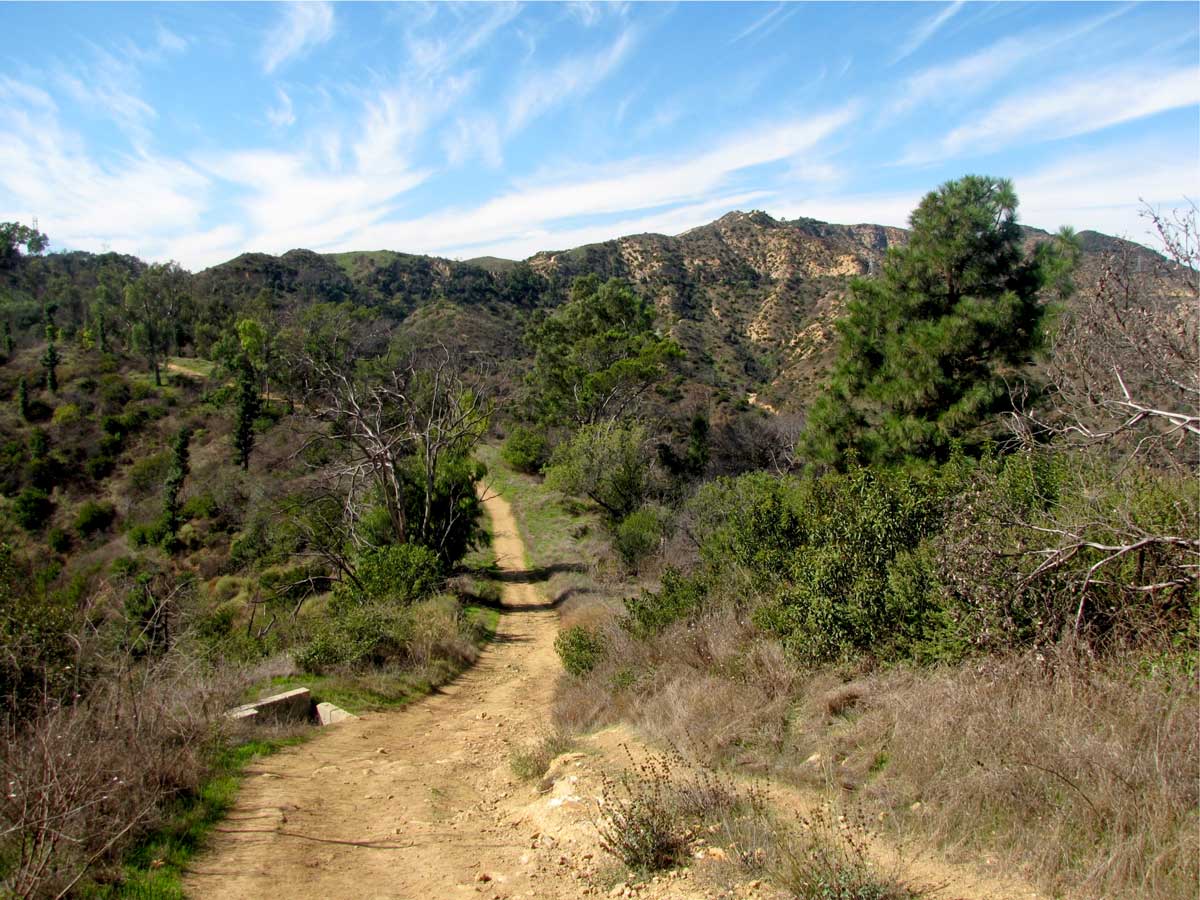 Beacon-Hill-hike-at-Griffith-Park-in-Los-Angeles-California