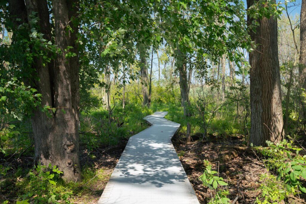 Boardwalk along North Pond Nature Reserve on Kelleys Island in Ohio