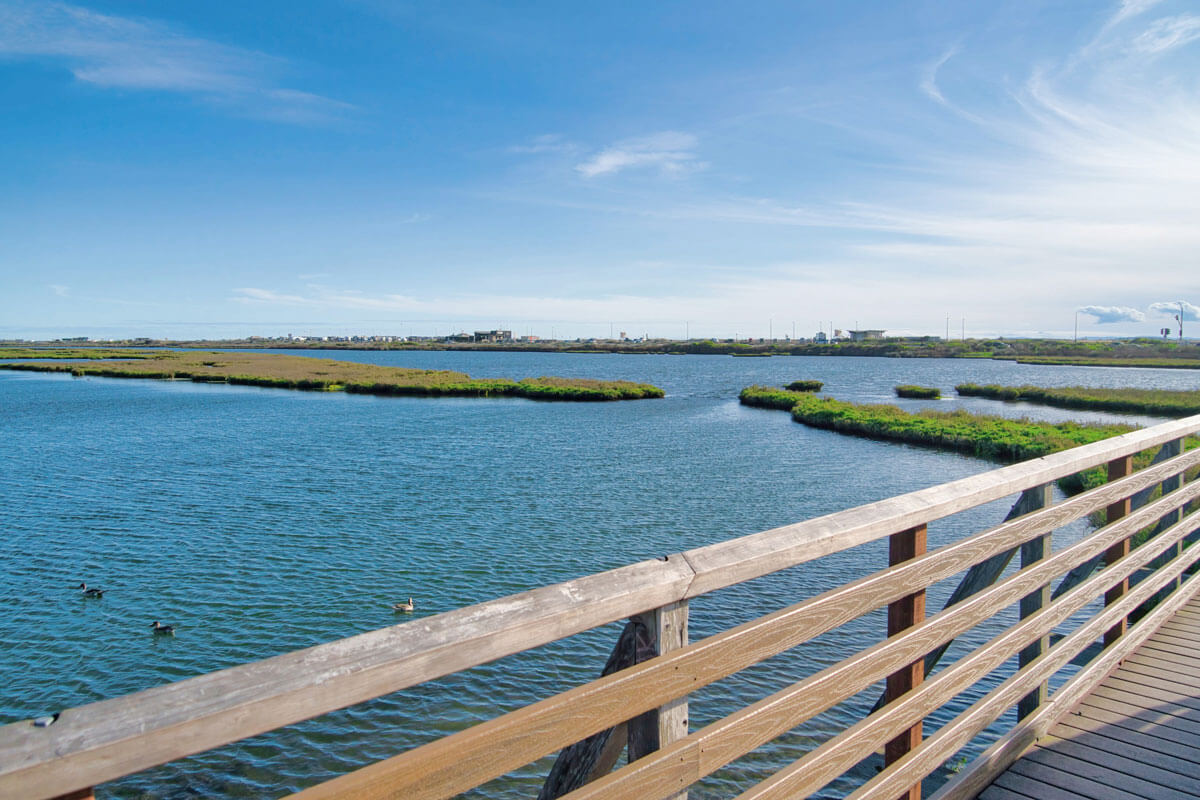 Bolsa-Chica-Ecological-Reserve-in-Huntington-Beach-California