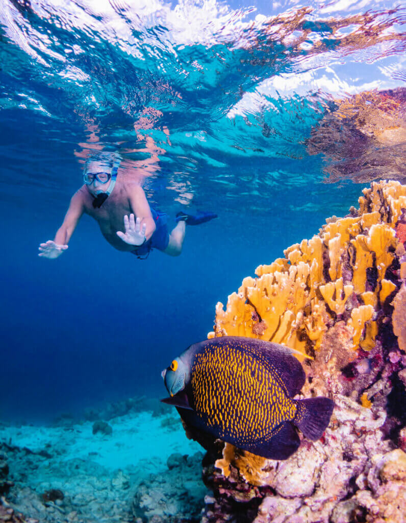 Bonaire-snorkeling-at-Klein-Bonaire