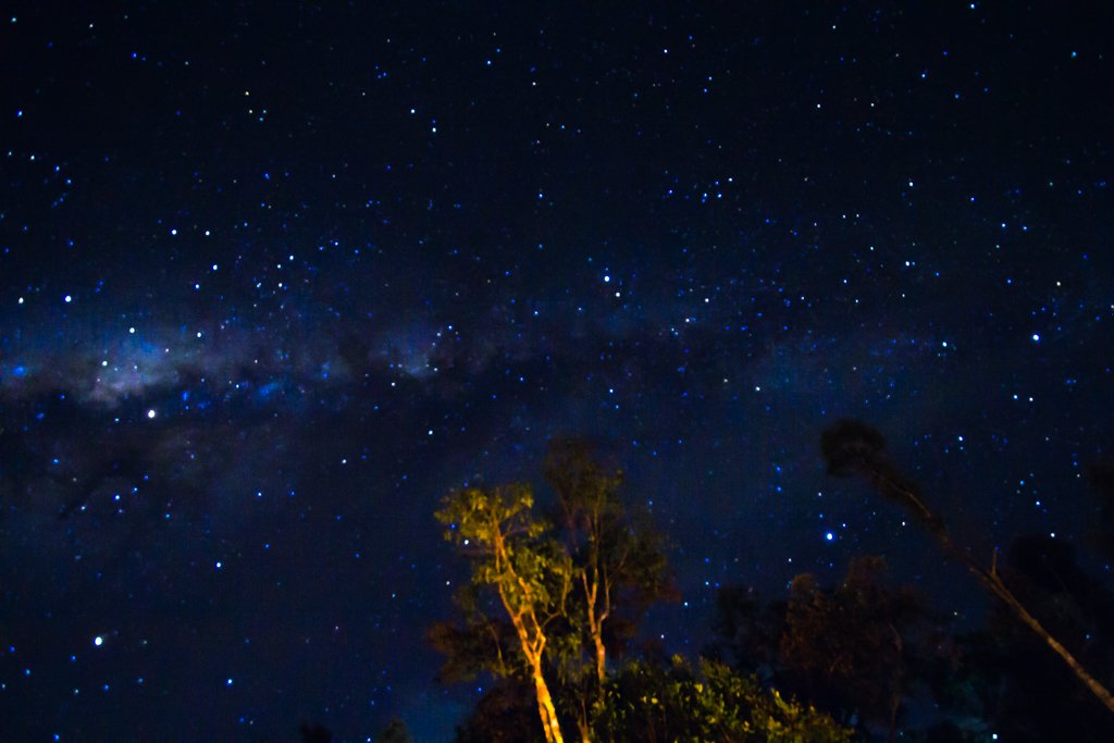 night time in the middle of the jungle in Borneo Indonesia