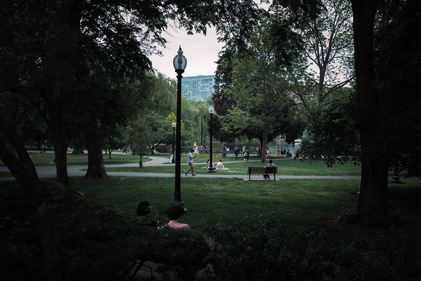 Boston Public Garden in Boston MA