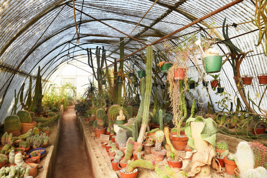 Cactatarium-at-Moorten-Botanical-Garden-in-Palm-Springs-California