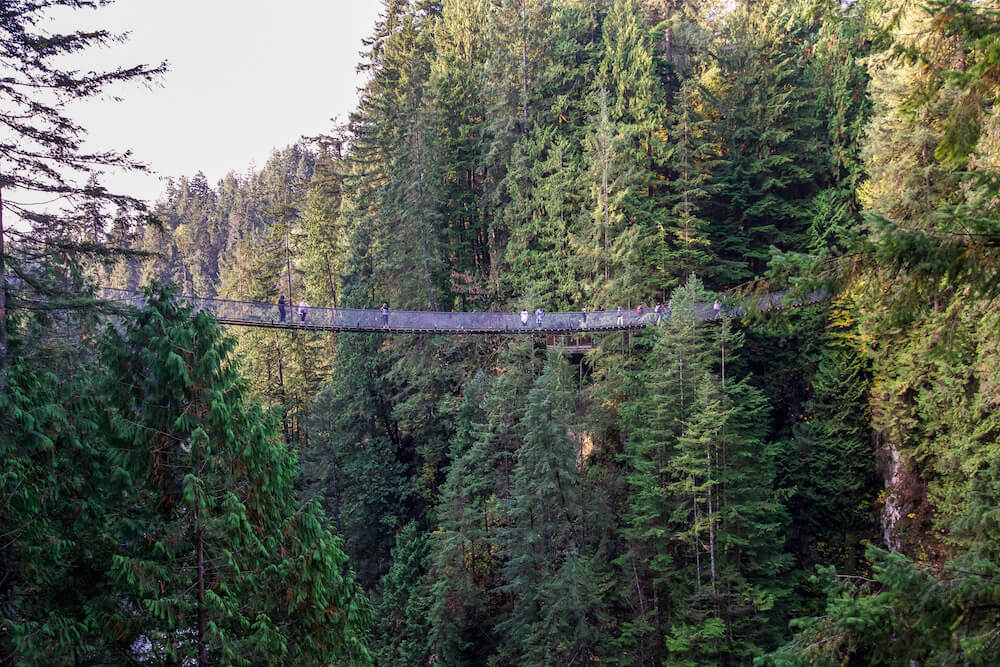 View of the Capilano Suspension Bridge in Vancouver Canada