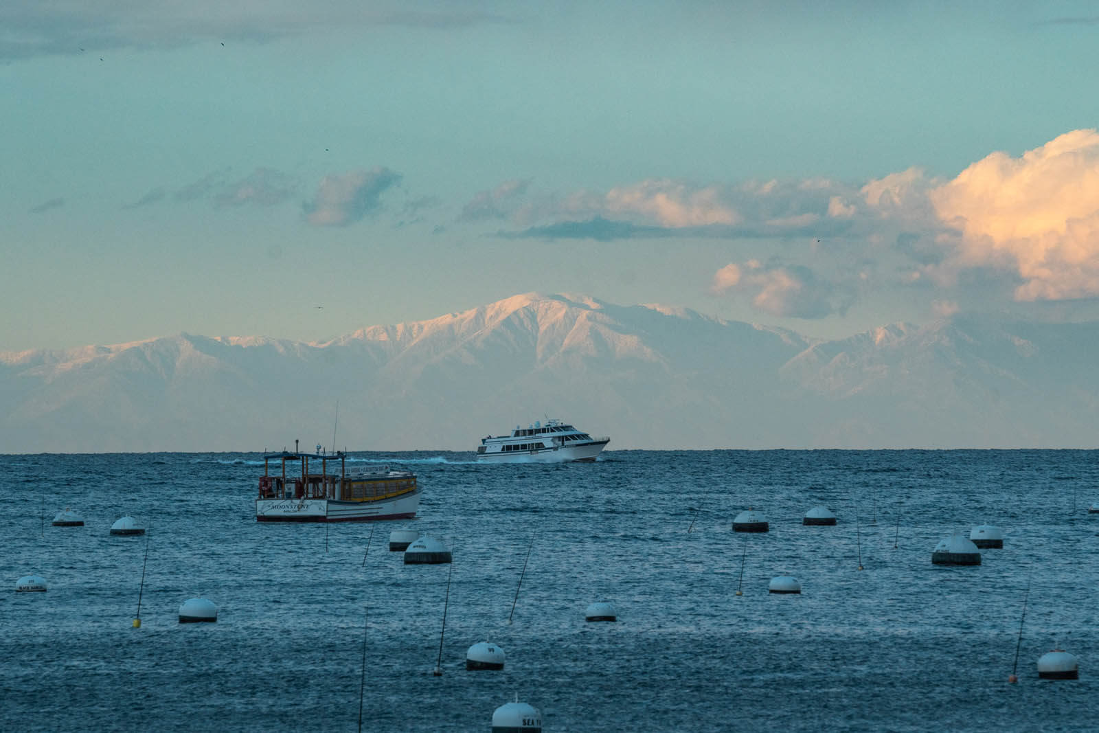 Catalina ferry coming into Catalina Island with the snowy mountains in the backdrop