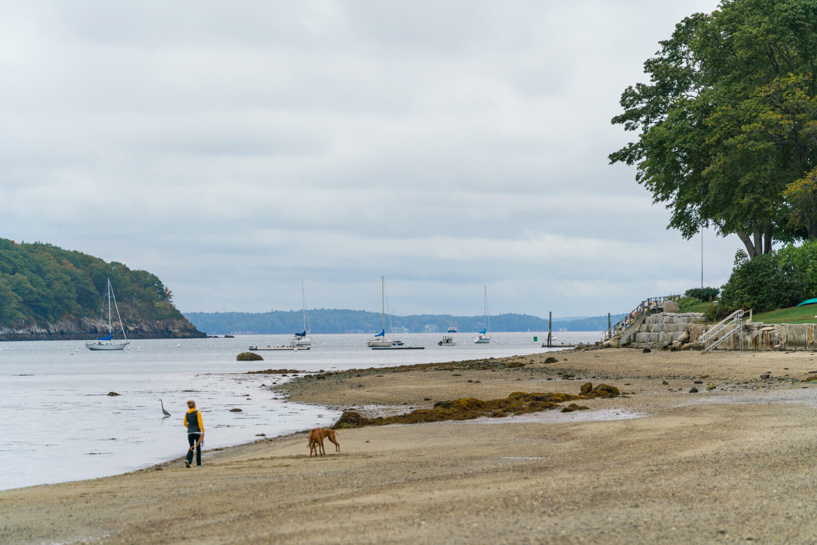 Centennial Beach on Peaks Island in MAine