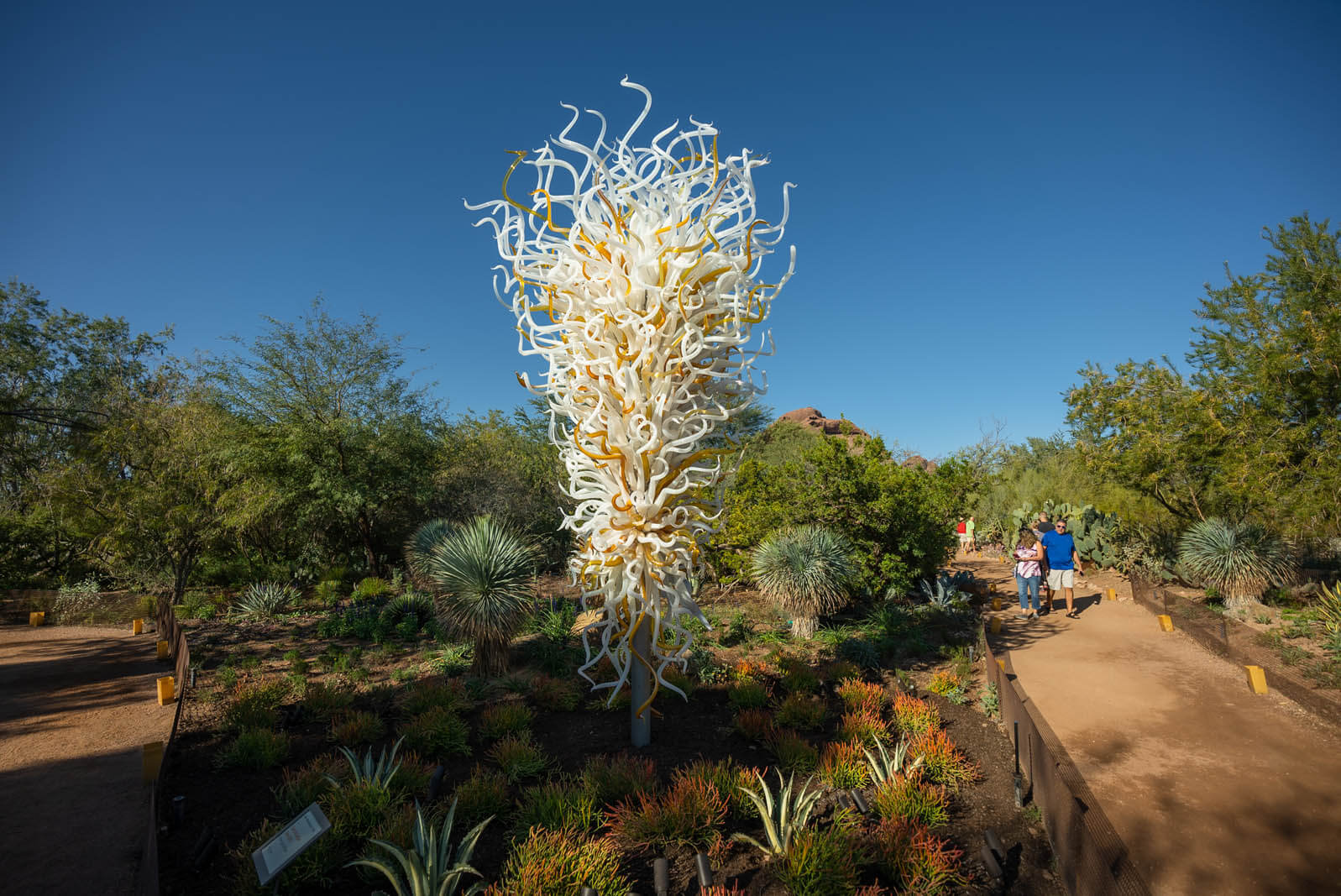 Chihuly in the Desert at Desert Botanic Garden in Phoenix and Tempe Arizona