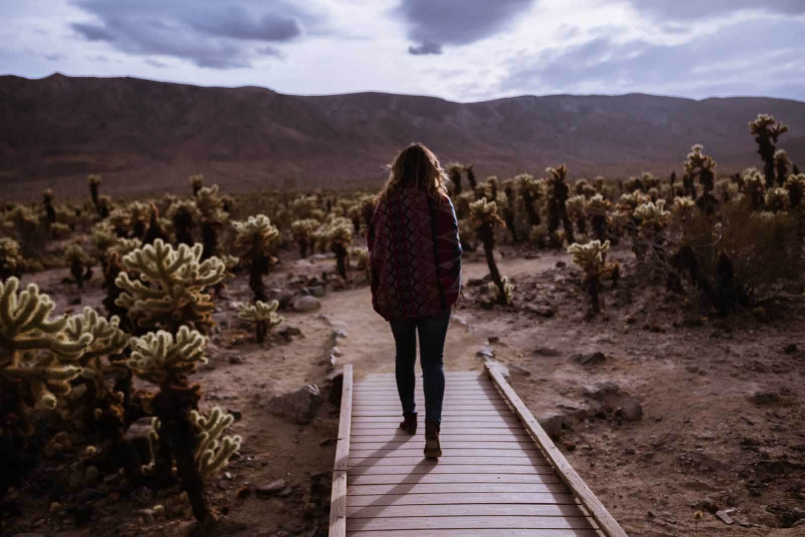 Megan walking through Cholla Cactus Garden in Joshua Tree National Park