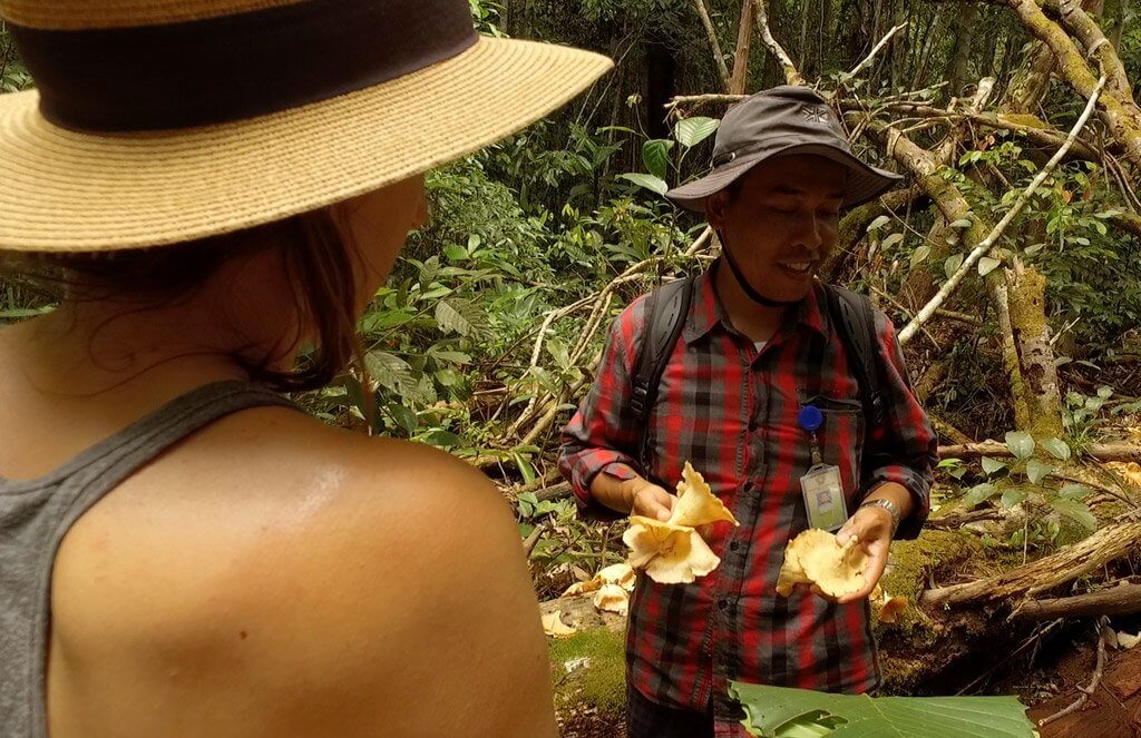 Our guide Chris explaining the medicinal purpose of these plants in the jungle of Borneo