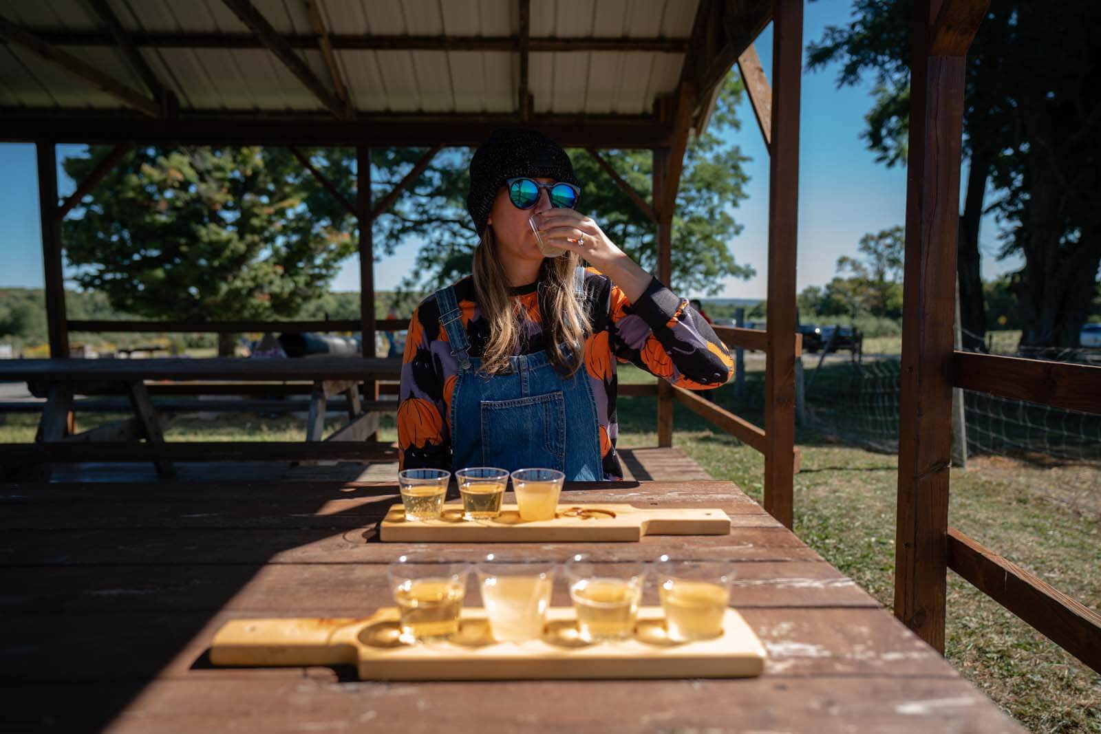 Cider Tasting at Grisamore Farms near Cayuga Lake NY