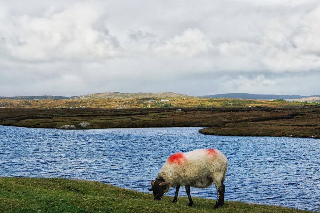 Connemara Ireland