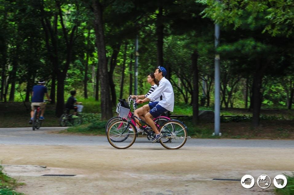 Seoul Forest Bike Rental