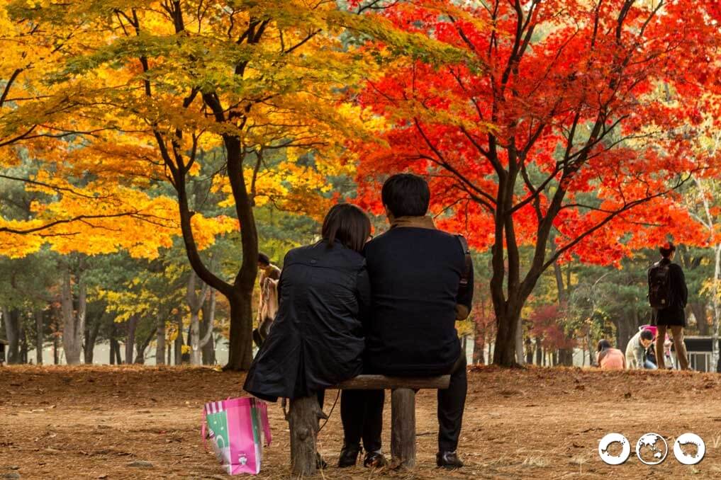 Couple-under-Trees