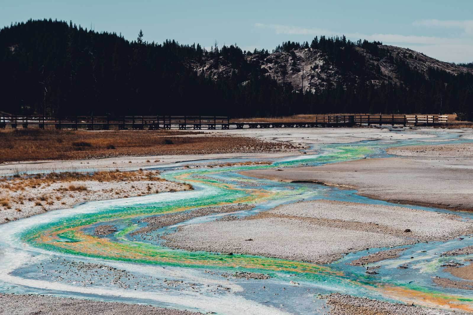 Crazy colors of the Norris Geyser Porcelain Basin in Yellowstone National Park