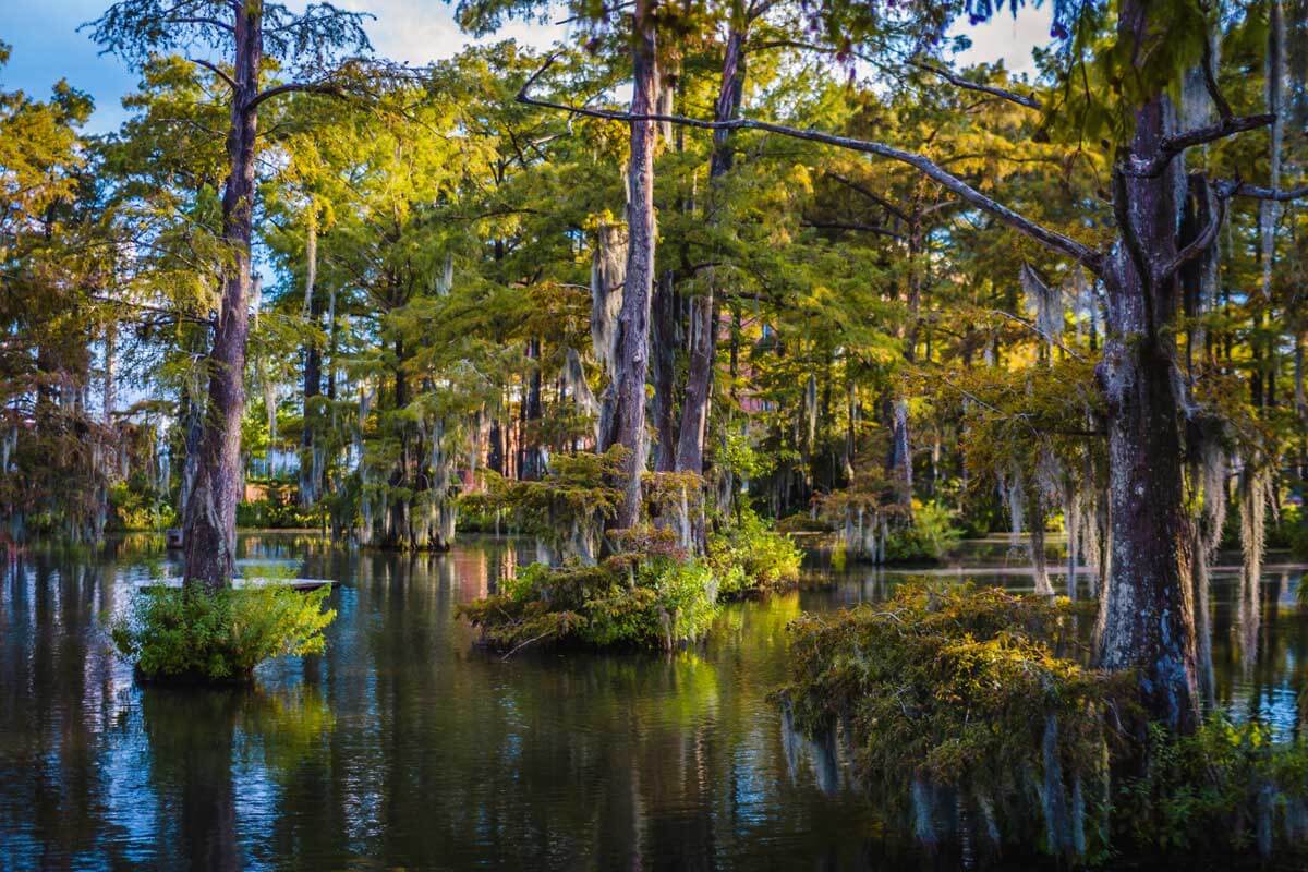 Cypress-Lake-in-Lafayette-Louisiana