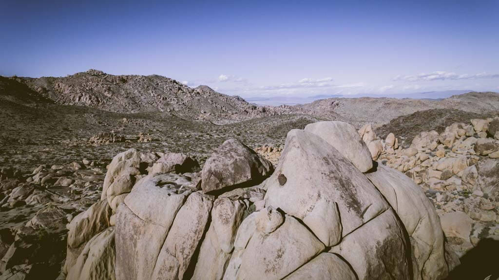 Joshua Tree