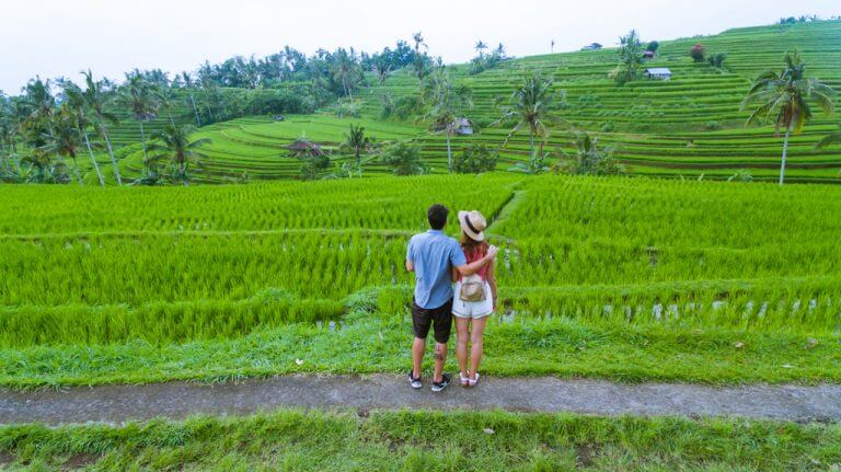 Bali Rice Fields
