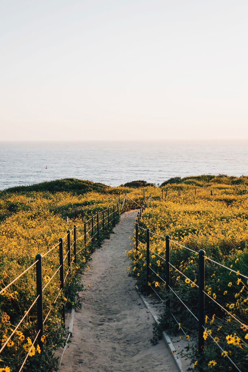 Dana-Point-Headlands-Trail-and-Conservation-Area-overlooking-the-Pacific-Ocean-in-California