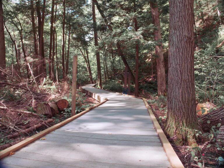 Delaware_Water_Gap_Boardwalk