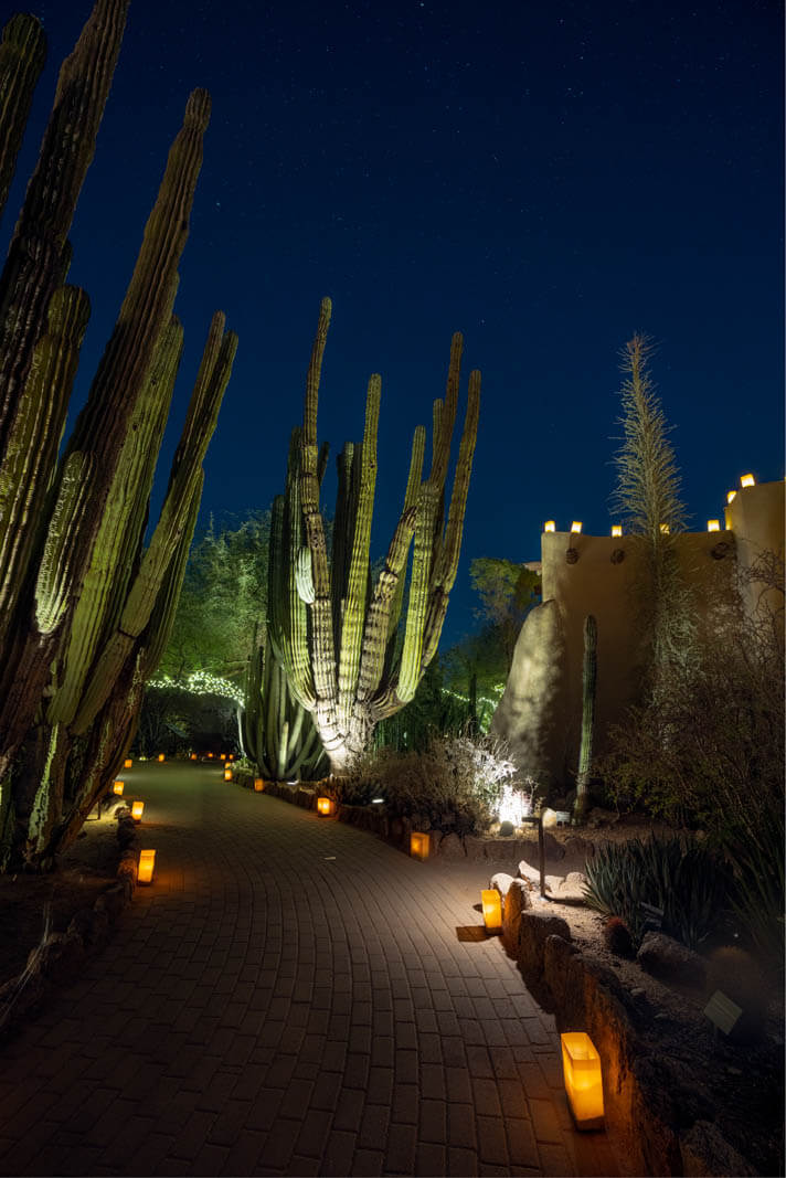 Desert Botanic Garden in Phoenix and Tempe at night in Arizona