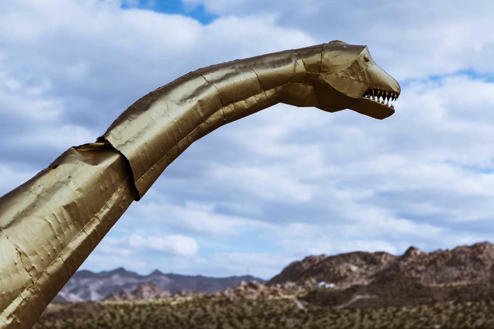 Dinosaur looking at Joshua Tree