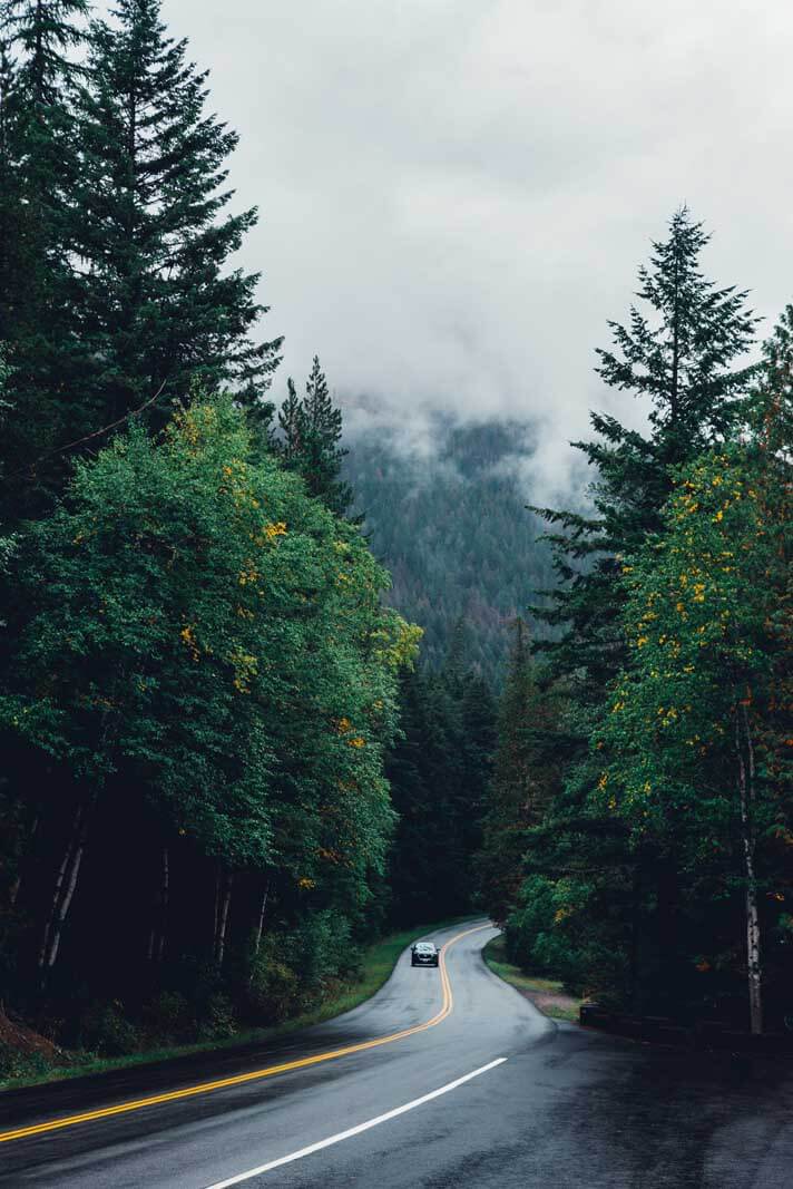 Driving through Glacier National Park on going to the sun road