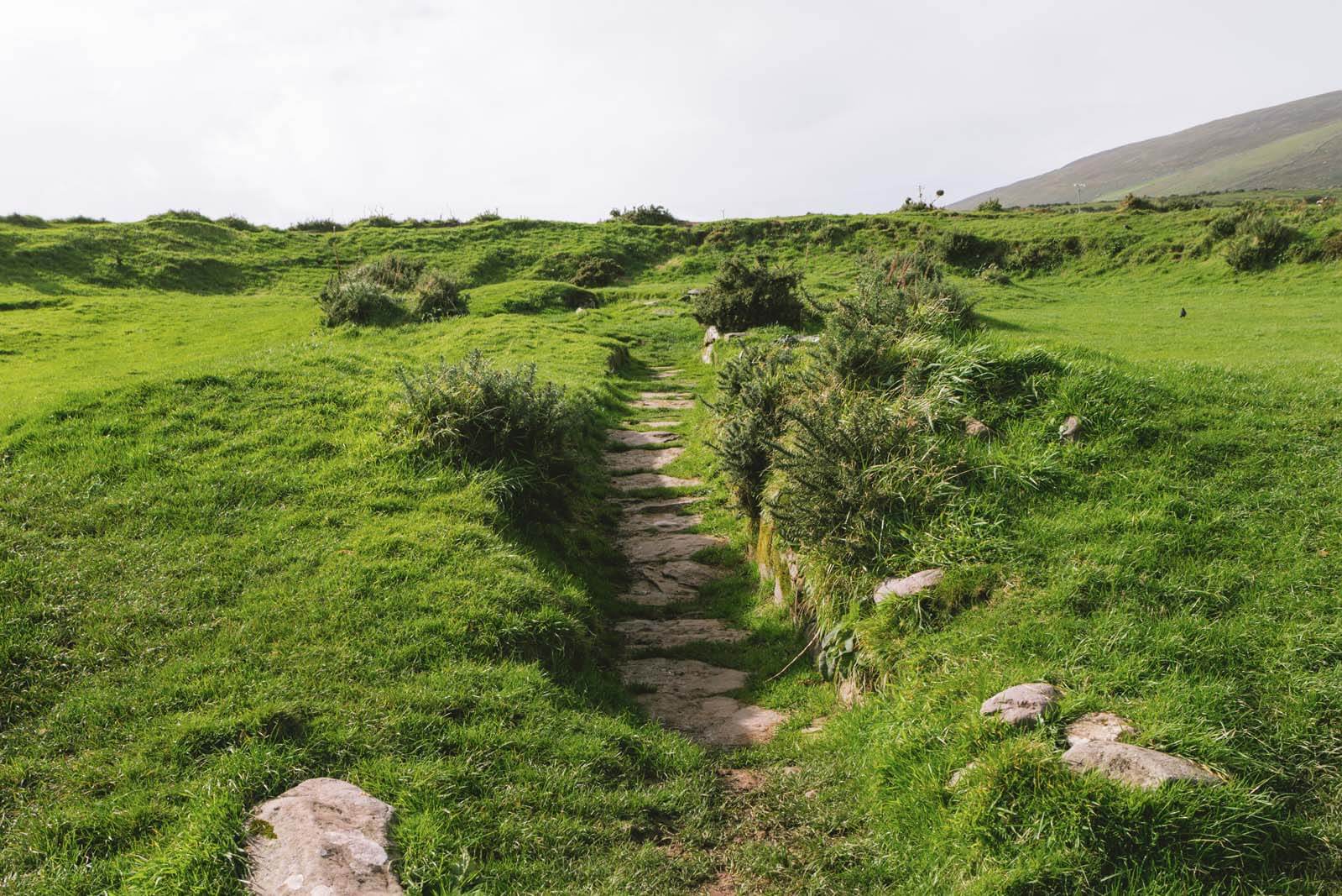 Ring-and-Fairy-Forts-in-Ireland