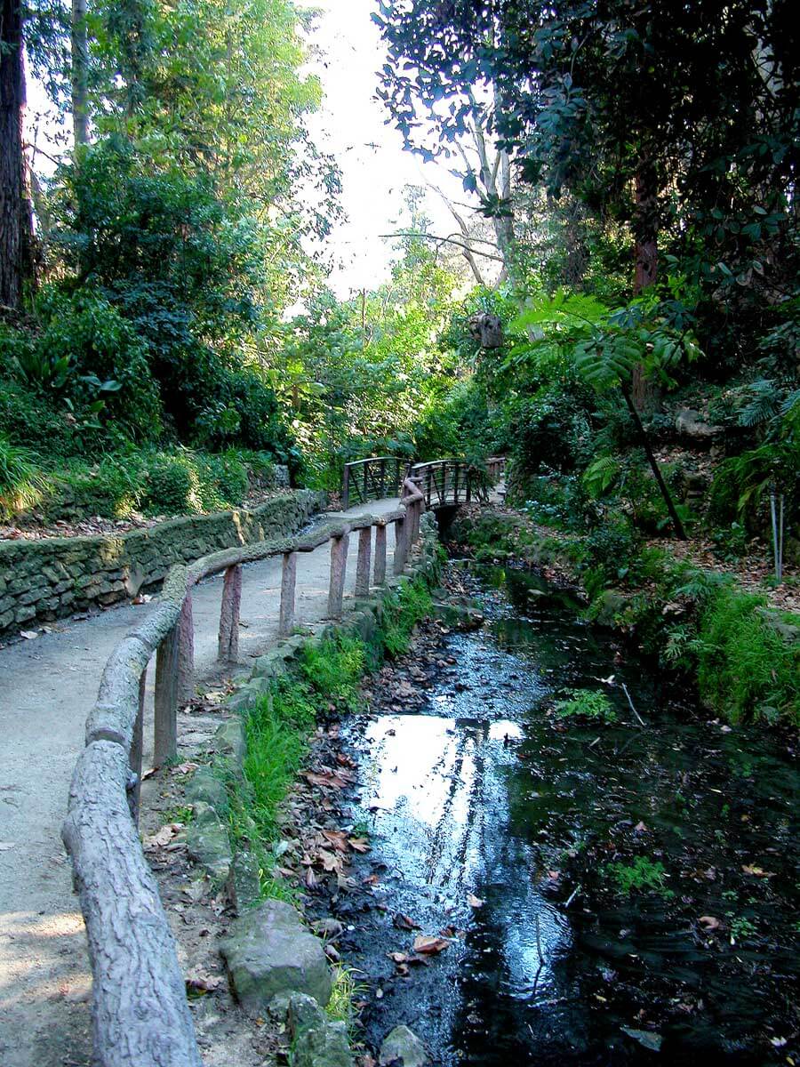 Ferndell-Hike-in-Griffith-Park-in-Los-Angeles-California