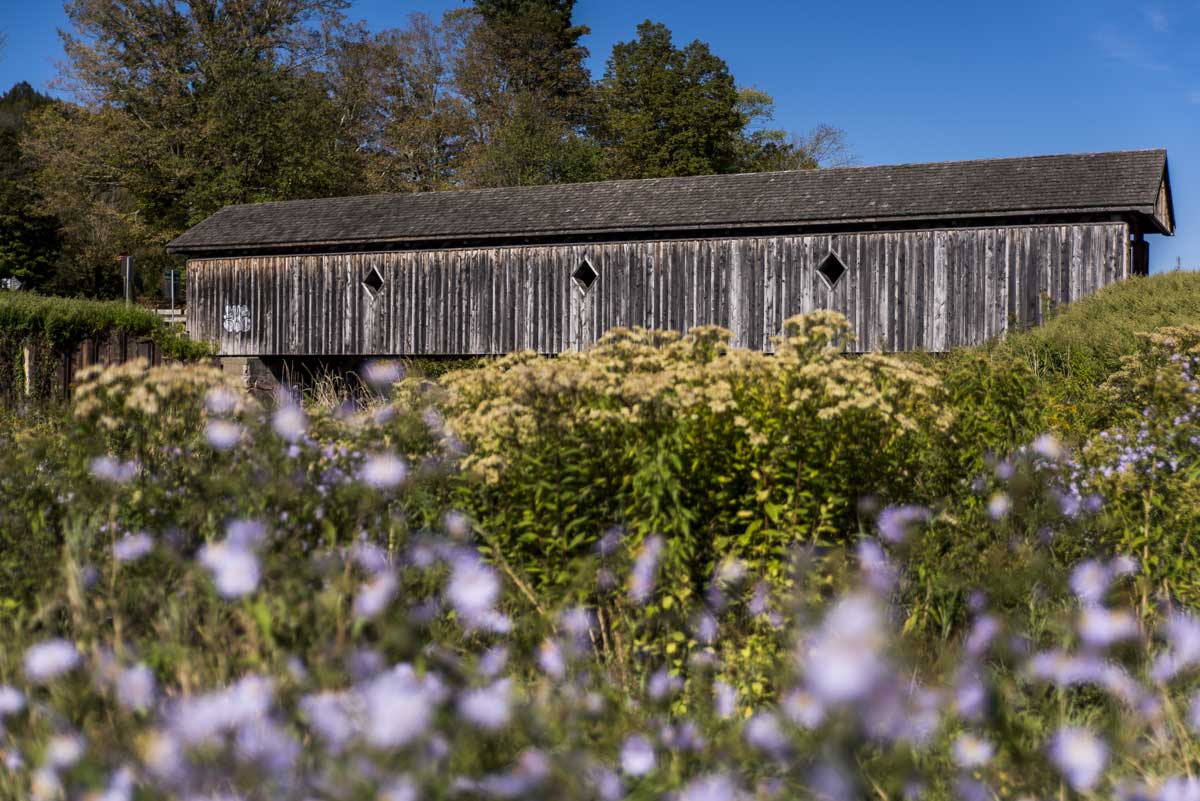 Fitches-Covered-Bridge-in-the-Catskills-region-of-New-York-State